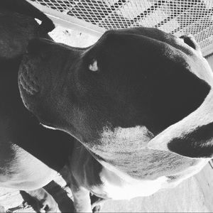 Meet your Posher, Danny